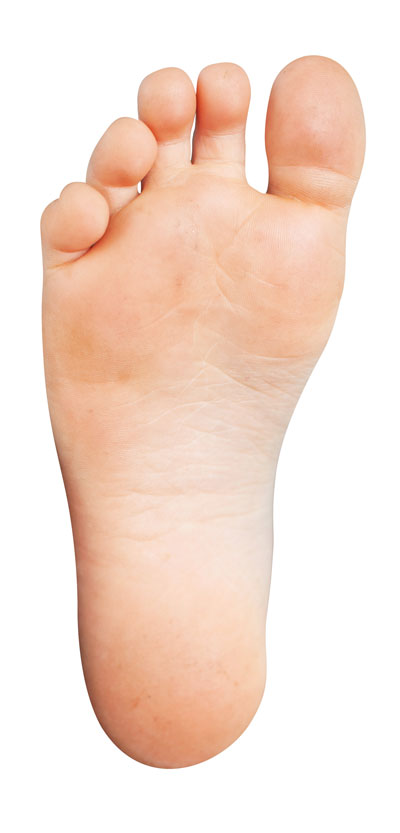 physiotherapy-services physiotherapy-services